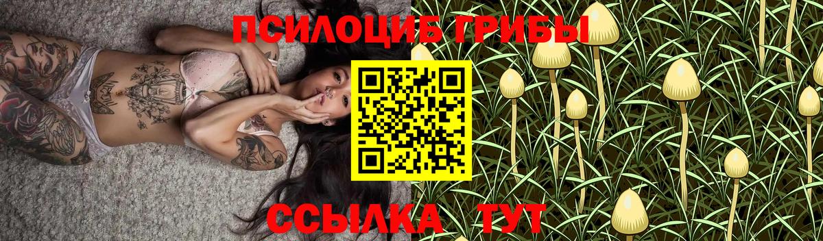Псилоцибиновые грибы Psilocybine cubensis Нурлат