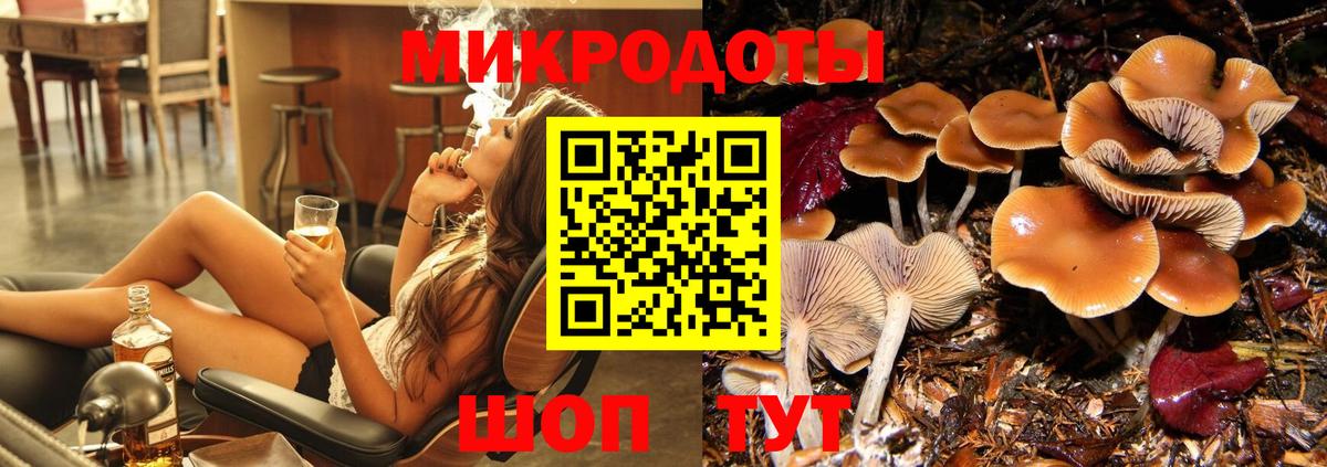 Псилоцибиновые грибы MAGIC MUSHROOMS  Вход с VPN  Нурлат 